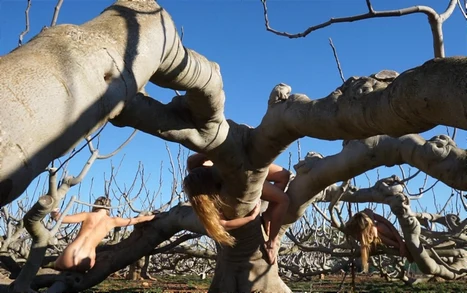 Martina exploring movement in the branches of a tree