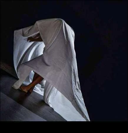 M.An.. performance with fabric and shadow